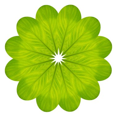 beyaz izole yaprak yeşil çiçek