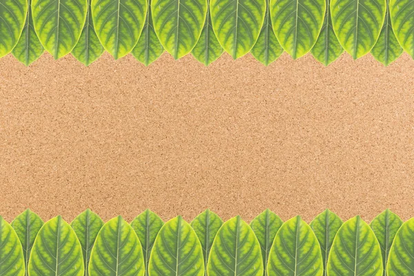 Placa de cortiça fundo com moldura folhas verdes — Fotografia de Stock