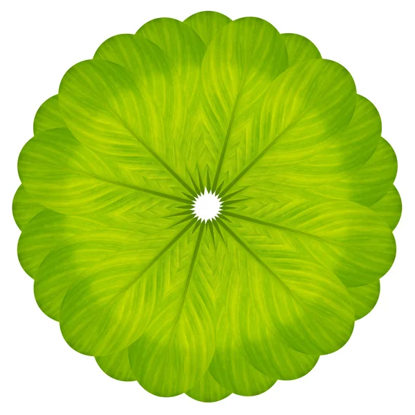 Зеленый цветок из листьев — стоковое фото