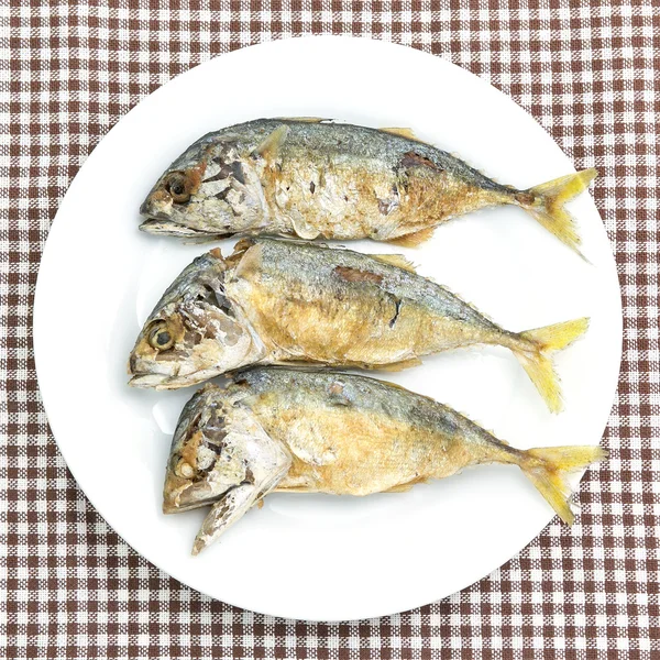 Makrela smażone ryby na białym talerzu — Zdjęcie stockowe