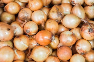 taze soğan arka plan