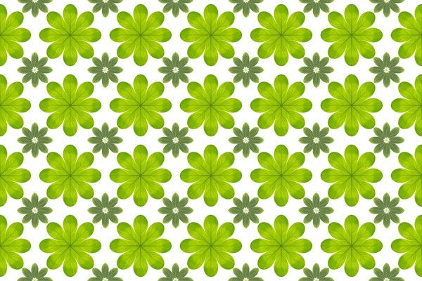 Zöld levél virág mintás háttérrel — Stock Fotó