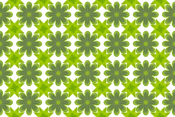 Green leaf flower pattern background — Stock Photo, Image