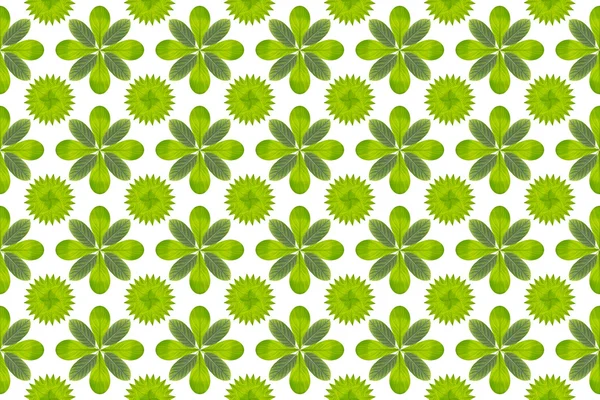 Green leaf flower pattern background — Stock Photo, Image