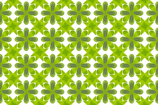 Green leaf flower pattern background — Stock Photo, Image