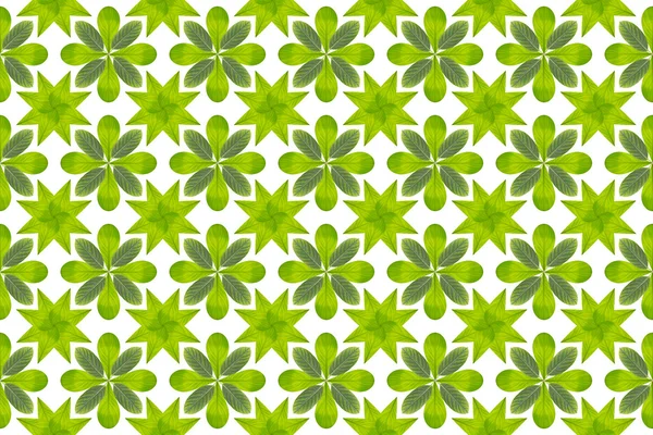 Groene blad bloem patroon achtergrond — Stockfoto