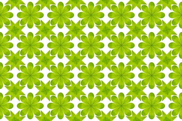 Green leaf flower pattern background — Stock Photo, Image