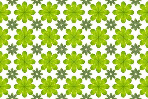 Green leaf flower pattern background — Stock Photo, Image