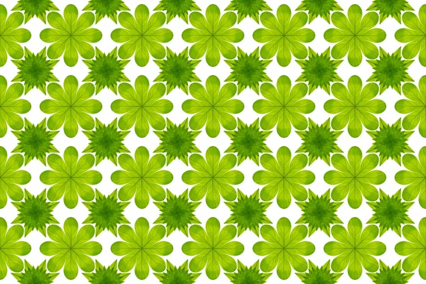 Grün Blatt Blume Muster Hintergrund — Stockfoto