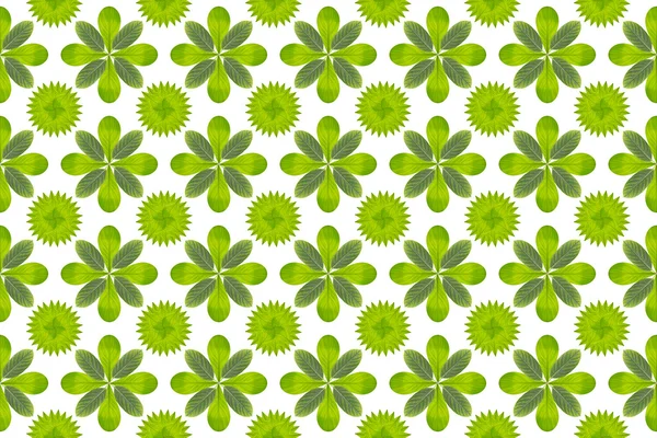 Green leaf flower pattern background — Stock Photo, Image