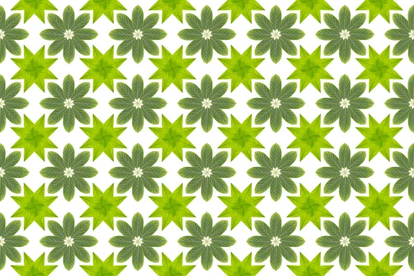 Цветочный узор зеленого листа — стоковое фото