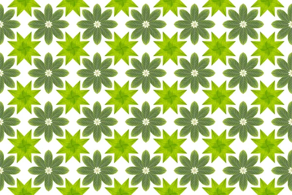 Green leaf flower pattern background — Stock Photo, Image