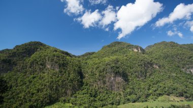 tropikal doğa dağ.