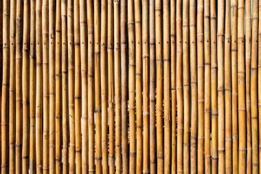 Bambu duvar arka plan