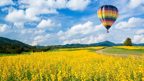 Hete luchtballon over gele bloembollenvelden tegen blauwe hemel — Stockfoto