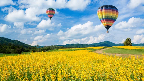 Hete luchtballon over gele bloembollenvelden tegen blauwe hemel — Stockfoto