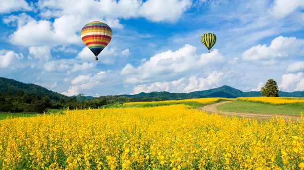 Horkovzdušný balón přes žluté květinové pole proti modré obloze — Stock fotografie