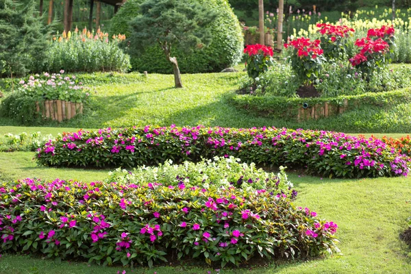 화려한 꽃 정원 — 스톡 사진