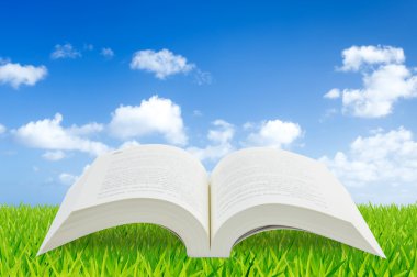 Yeşil çimenlerin üzerinde kitap mavi gökyüzü ile açın