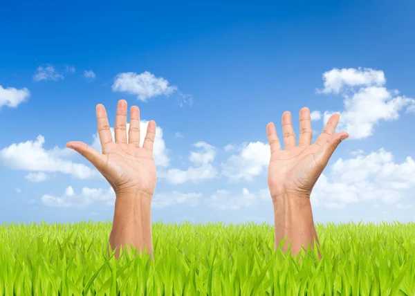 緑の草原と青空の背景を持つ 2 つの開いた手 — ストック写真