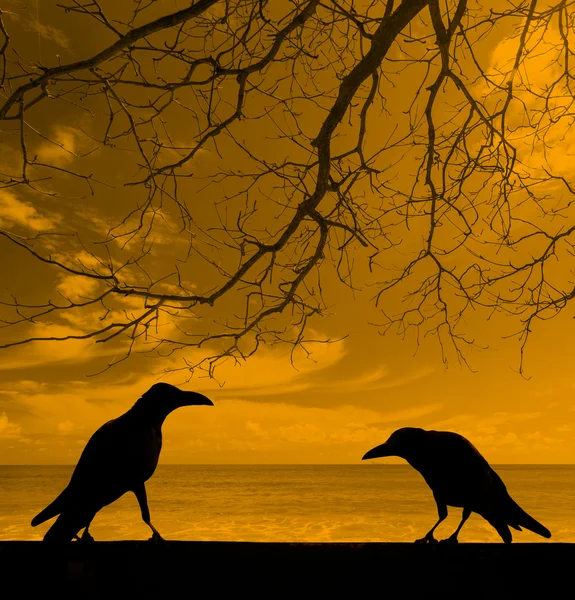 Silueta vrány s pozadím uschlého stromu — Stock fotografie