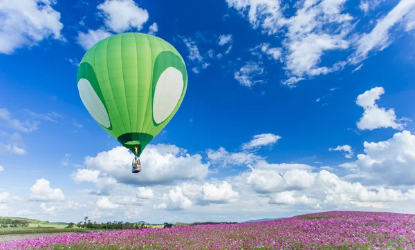 Hete luchtballon over kosmos flower velden met blauwe hemelachtergrond — Stockfoto