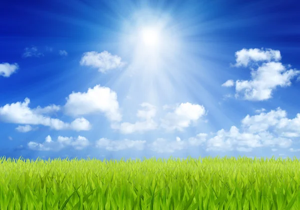 Green field and blue sky with sun beam background — Stock Photo, Image