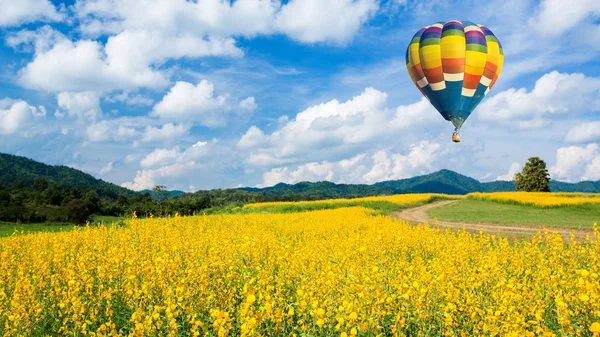 Globo de aire caliente sobre campos de flores amarillas contra el cielo azul — Foto de Stock