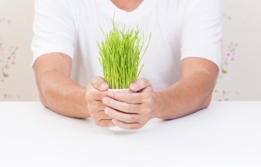 Man hands holding cup of wheat grass clipart