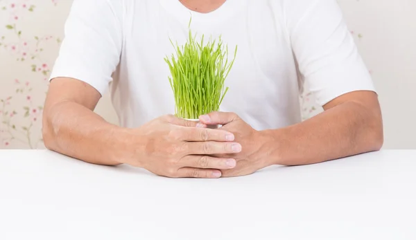 Mann hält Tasse mit Weizengras in den Händen — Stockfoto