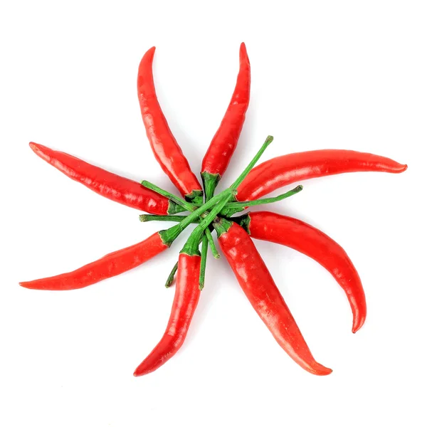 Peperoncino rosso isolato su sfondo bianco — Foto Stock