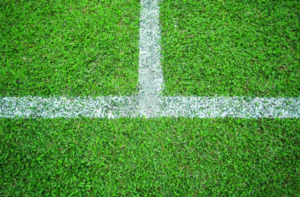 Gras voetbalveld — Stockfoto