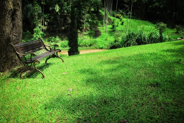 Vintage Bank im Garten — Stockfoto