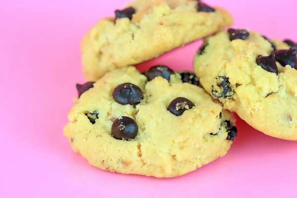 Cookie chocolate chip on pink background — Stock Photo, Image