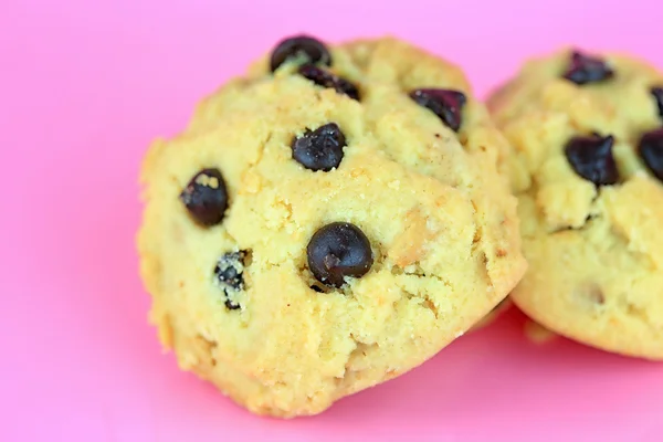 Cookie chocolate chip on pink background — Stock Photo, Image