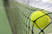 tenisový míč v síti
