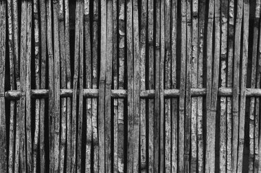 Bambu B&W doku arka plan