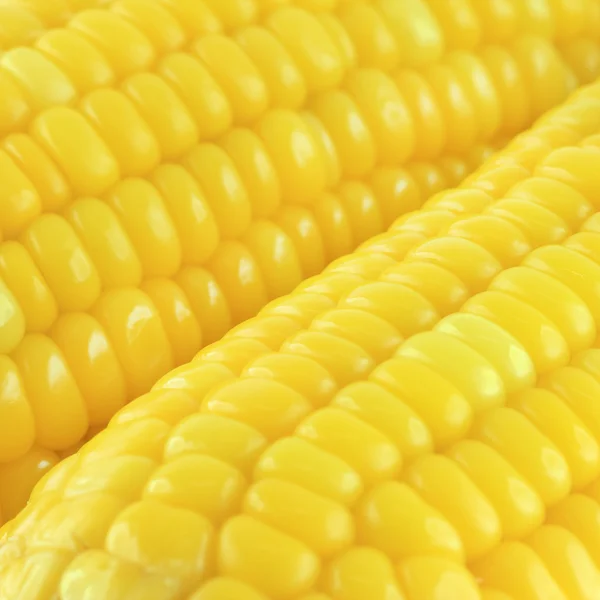 Bliska kukurydzy w tle. — Zdjęcie stockowe