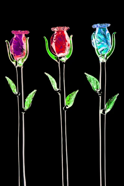 Colorful glass rose on black background — Stock Photo, Image