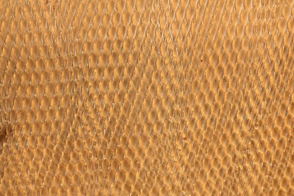 Dried rubber sheet background pattern texture — Stock Photo, Image