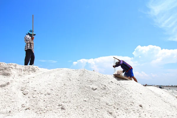 People working in the salt field