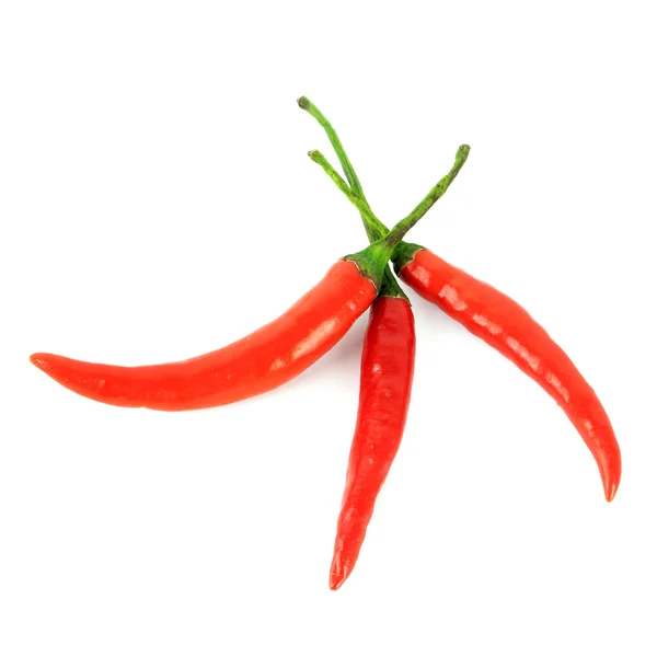 Röd chili peppar isolerad på vit bakgrund — Stockfoto