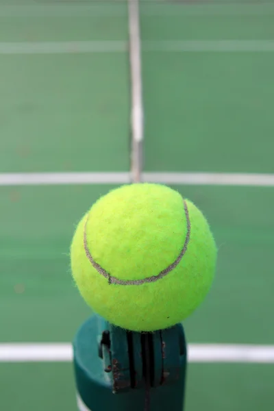 Tennis ball on net — Stock Photo, Image