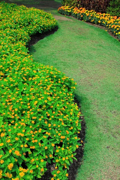 Beautiful walking way garden — Stock Photo, Image