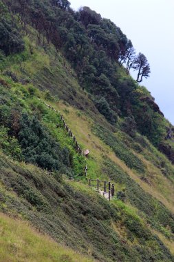 chiang mai Tayland dağ geçidi