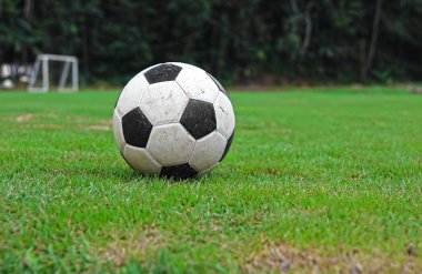 Yeşil çimenlerin üzerinde futbol