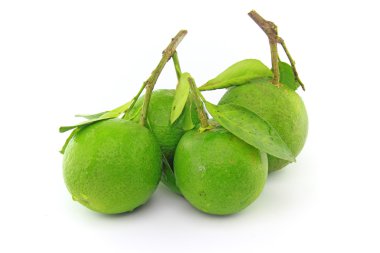 tatlı yeşil turuncu