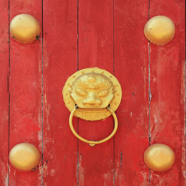 Golden Dragon knock on old red wooden door — Stock Photo, Image