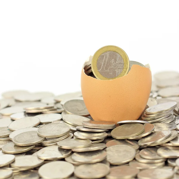 Broken eggshell on coins — Stock Photo, Image