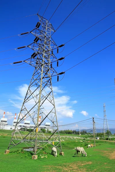 Torre ad alta tensione con alimentazione mucca sotto il cielo blu — Foto Stock